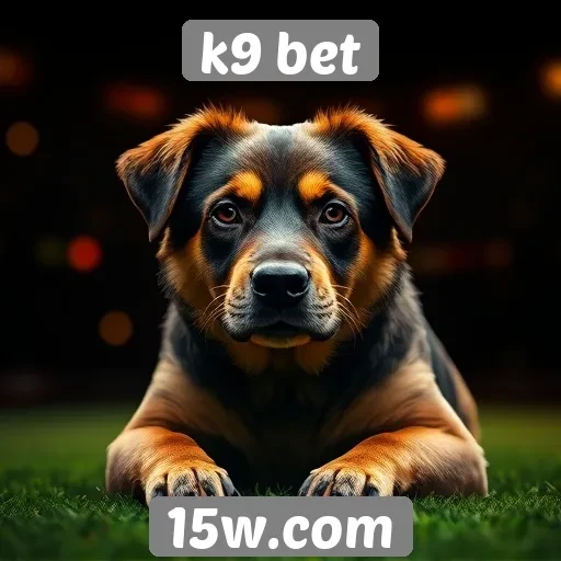 Avaliação das opções de suporte ao cliente no K9 Bet
